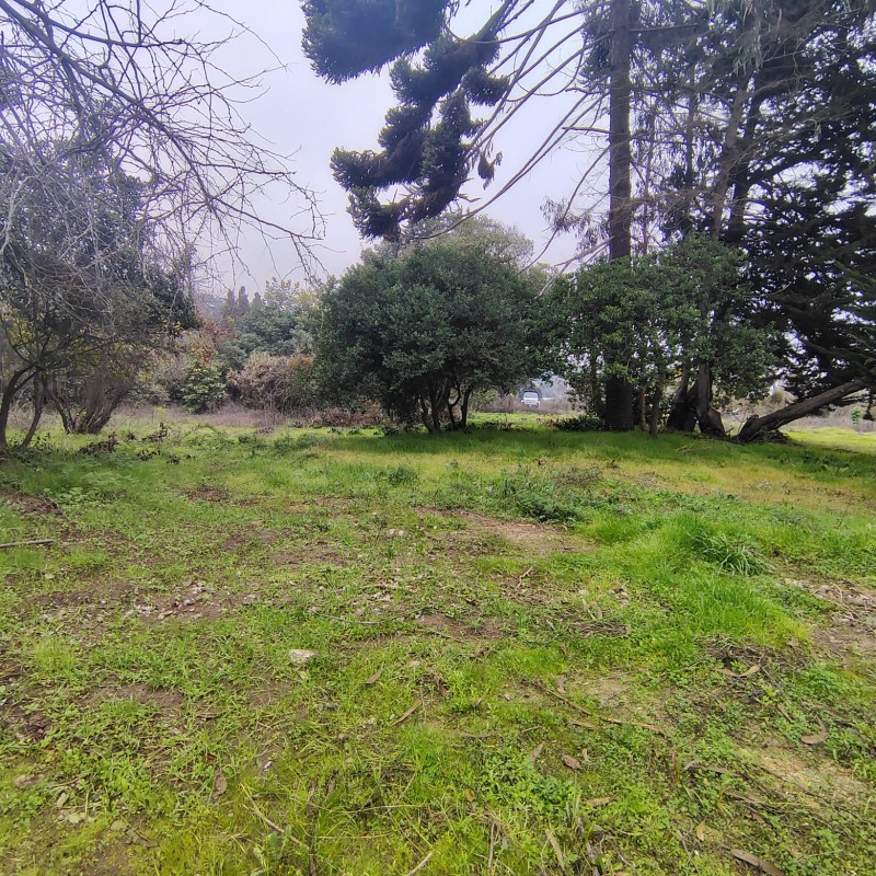 Venta Sitio San Antonio - Valparaíso