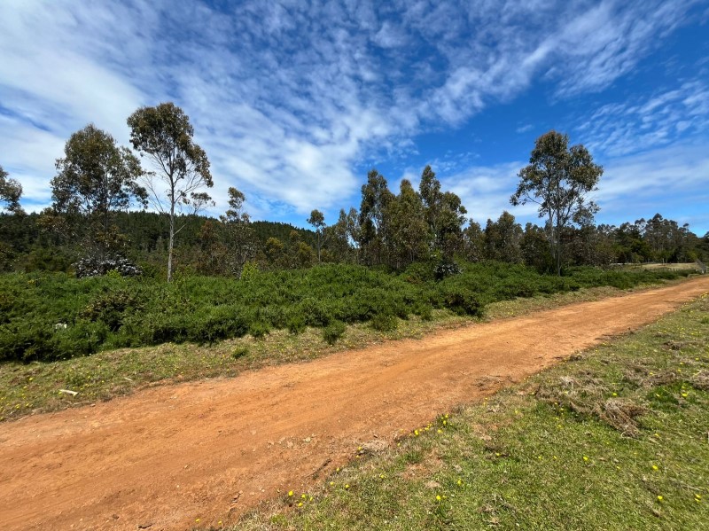 Venta Parcela Corral - Los Ríos