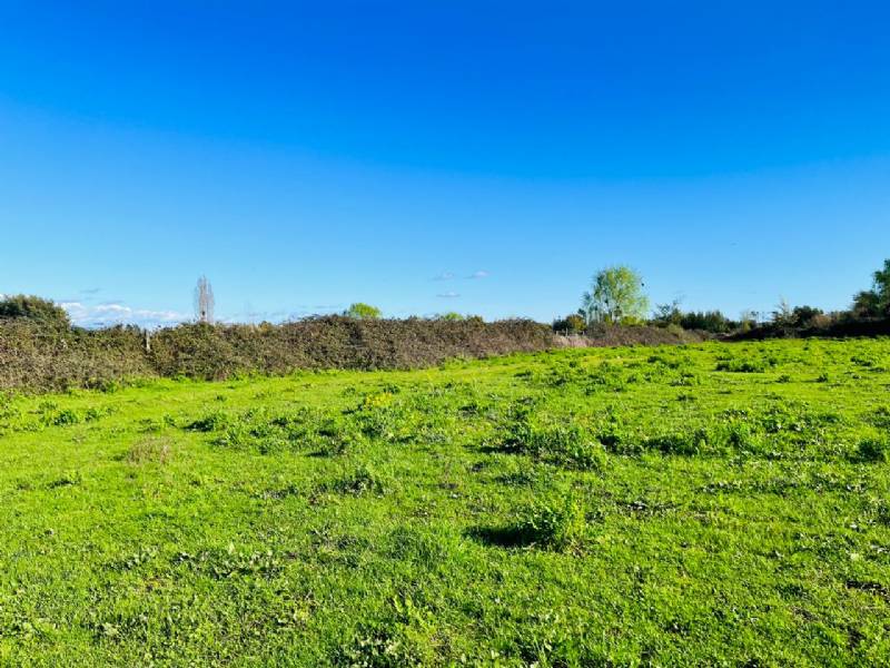 Venta Parcela Linares - Maule
