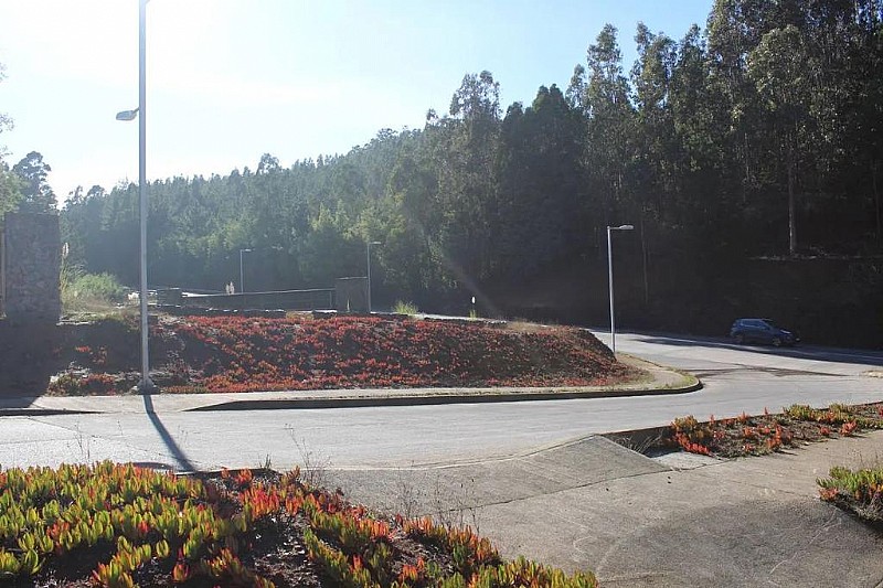 Venta Sitio Tomé - Biobío