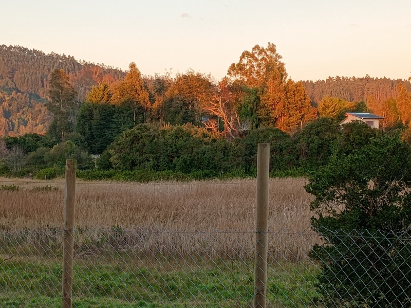 Venta Parcela Valdivia - Los Ríos