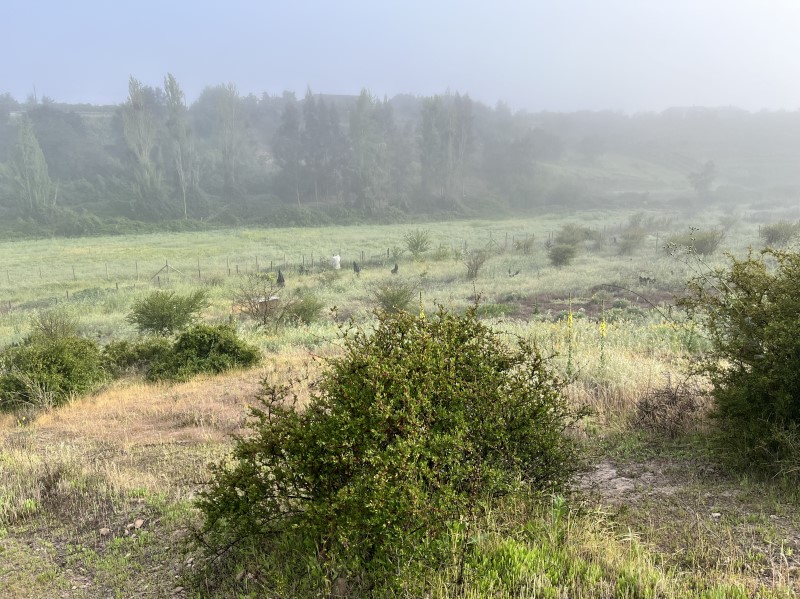 Venta Parcela Melipilla - Región Metropolitana