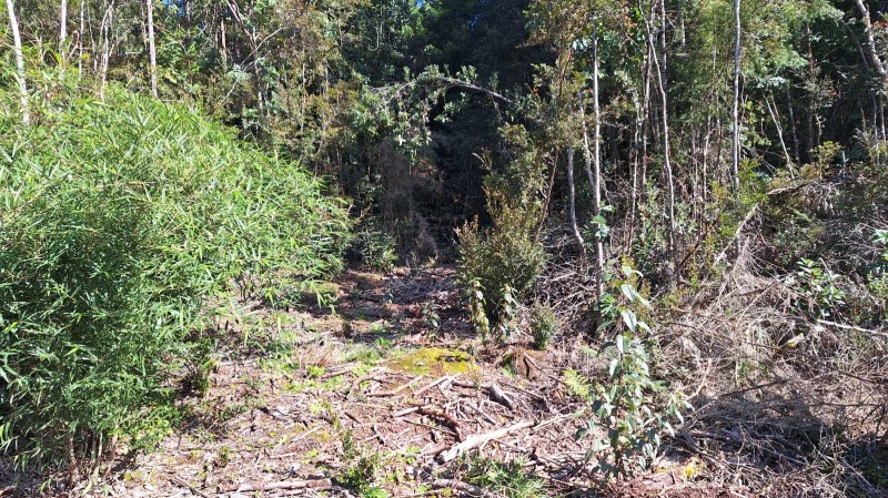 Venta Parcela Puerto Varas - Los Lagos