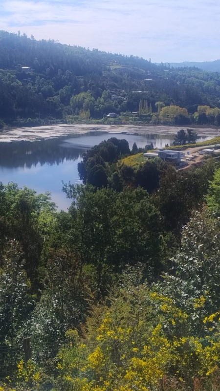 Venta Parcela Concepción - Biobío