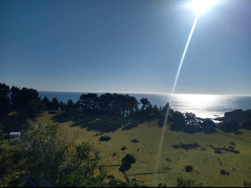 Venta Parcela Valdivia - Los Ríos
