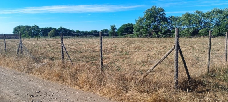 Venta Parcela Curicó - Maule