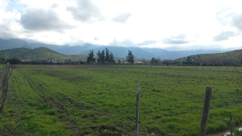 Venta Agrícola Rancagua - O'Higgins