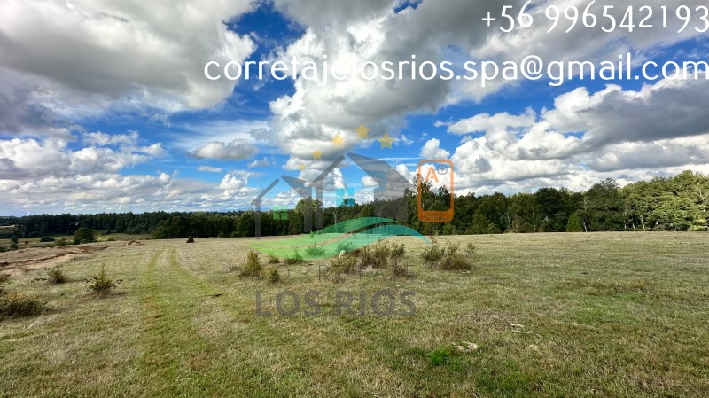 Venta Parcela Valdivia - Los Ríos
