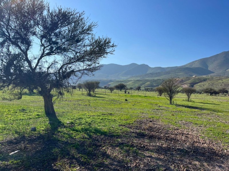 Venta Parcela Ovalle - Coquimbo