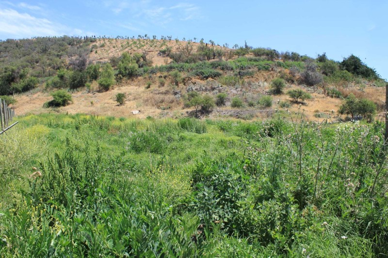 Venta Parcela Melipilla - Región Metropolitana