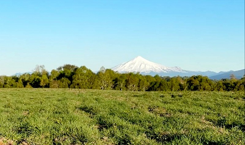 Venta Parcela Villarrica - La Araucanía
