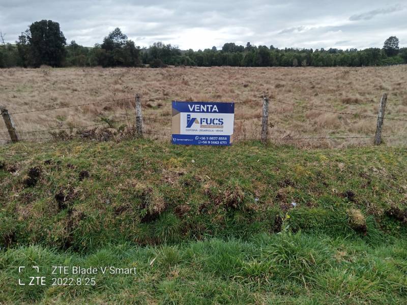 Venta Parcela Llanquihue - Los Lagos