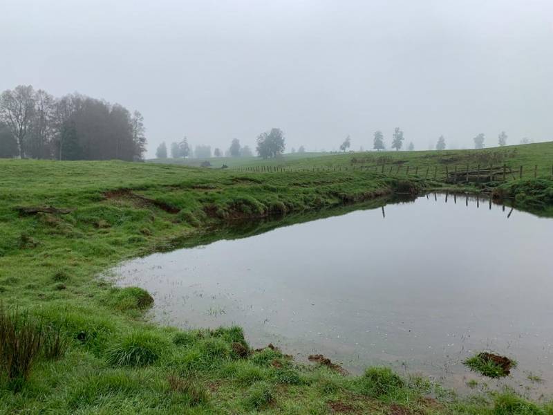 Venta Parcela Río negro - Los Lagos