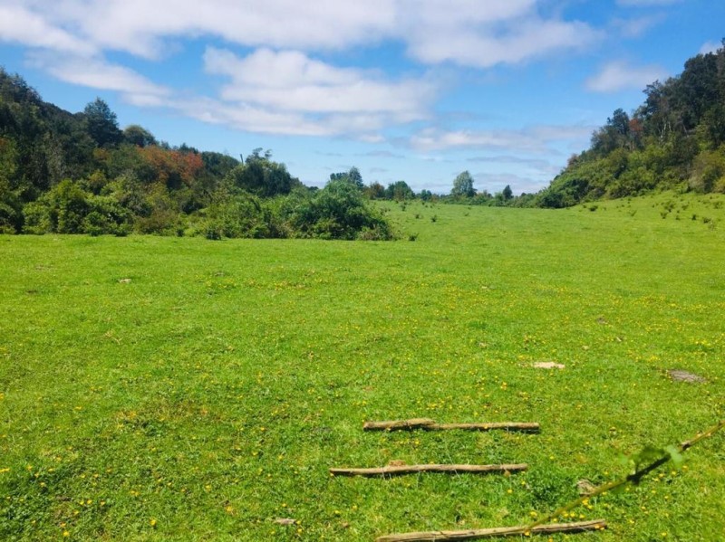 Venta Parcela Puerto Varas - Los Lagos