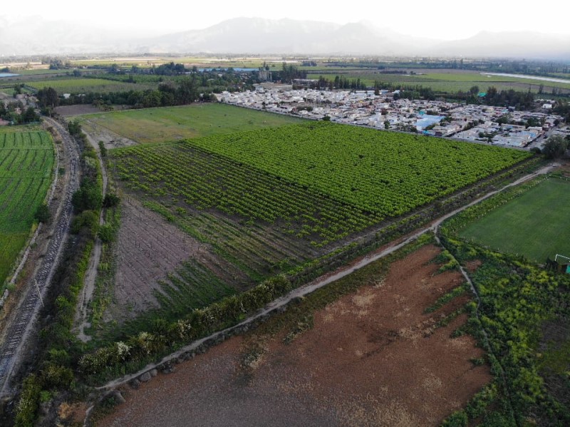 Venta Agrícola San Felipe - Valparaíso