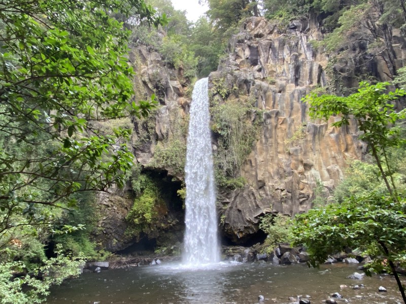 Venta Parcela Curacautín - La Araucanía