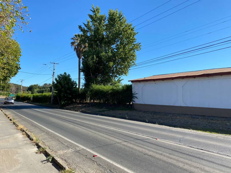 Venta Industrial Villa Alegre - Maule