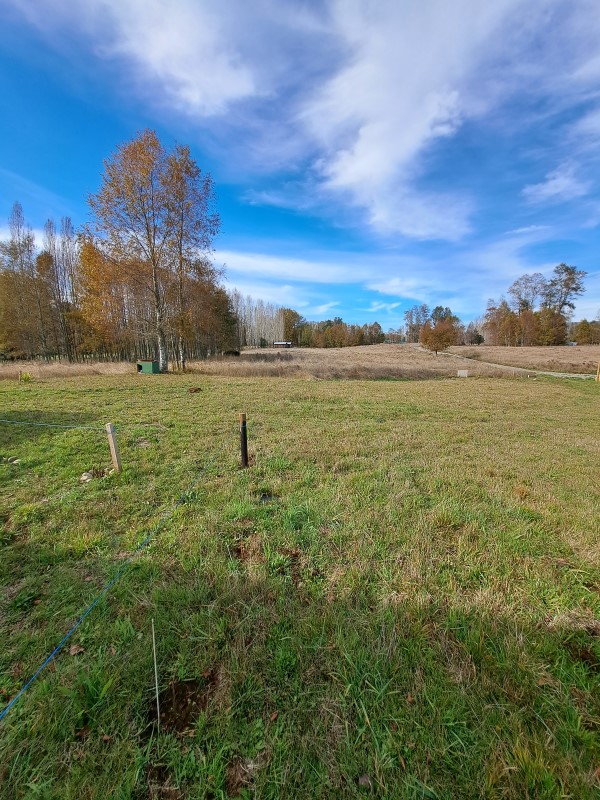 Venta Parcela Villarrica - La Araucanía