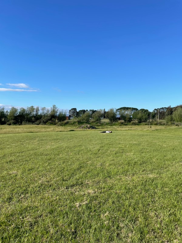Venta Parcela Freire - La Araucanía
