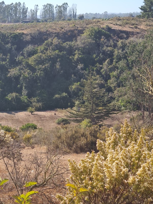Venta Parcela Algarrobo - Valparaíso