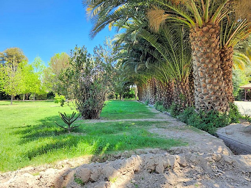 Venta Sitio Colina - Región Metropolitana
