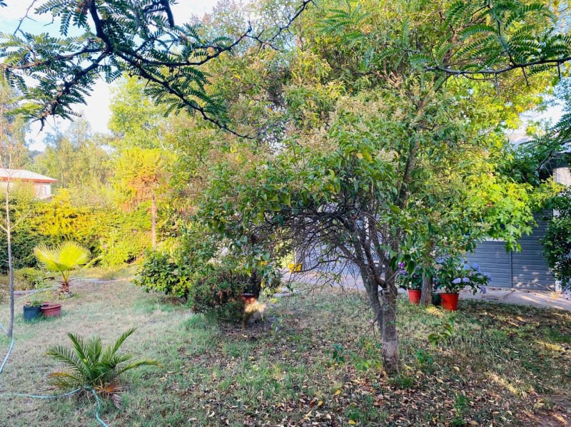 Venta Parcela San Fernando - O'Higgins