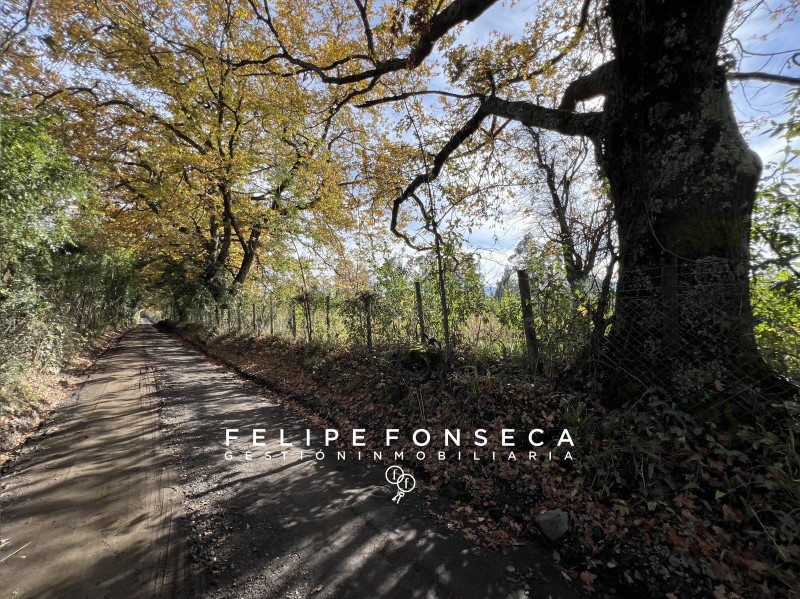Venta Parcela Pucón - La Araucanía