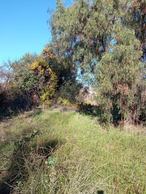 Venta Sitio Quilpué - Valparaíso