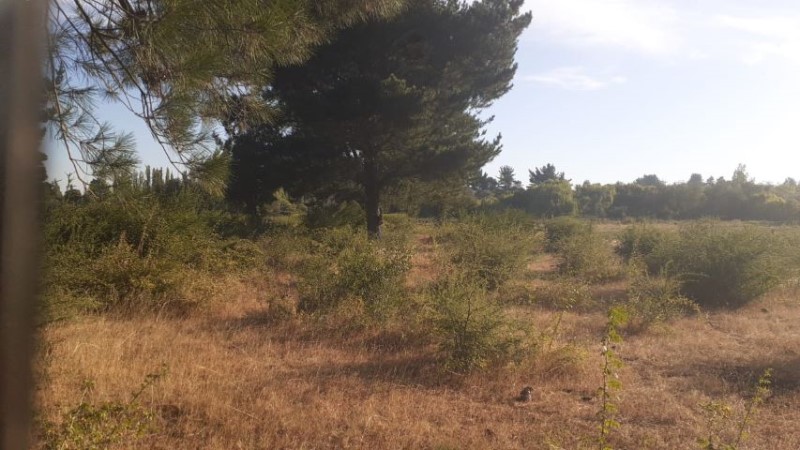 Venta Parcela Pemuco - Ñuble