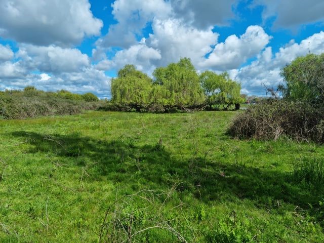 Venta Agrícola San Carlos - Ñuble