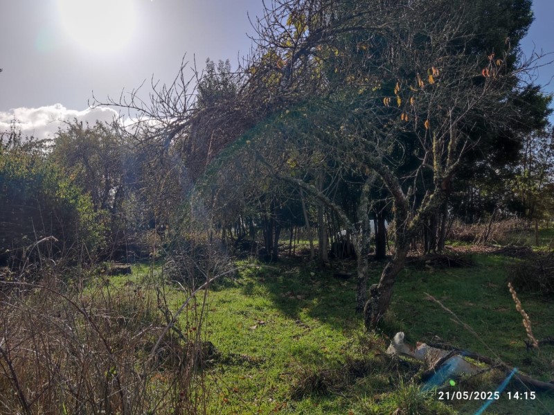 Venta Parcela Freire - La Araucanía