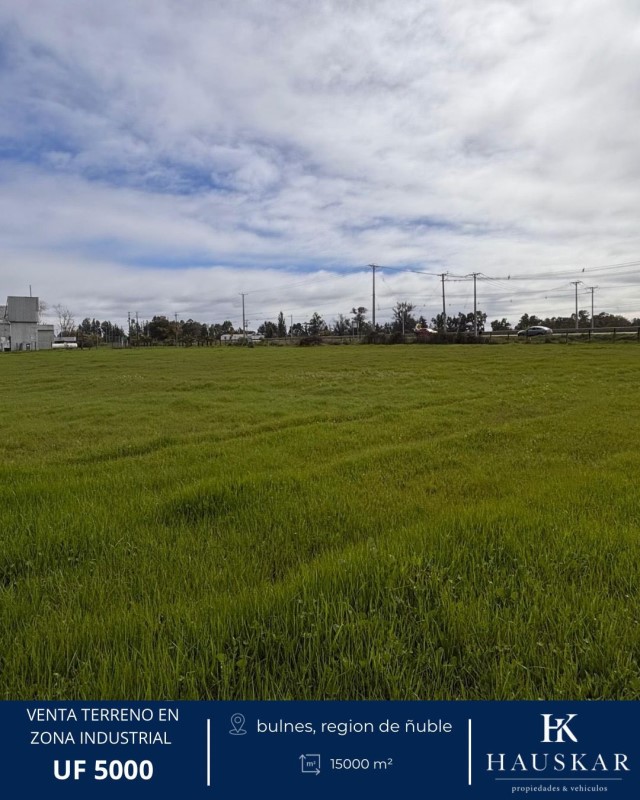 Venta Industrial Bulnes - Ñuble