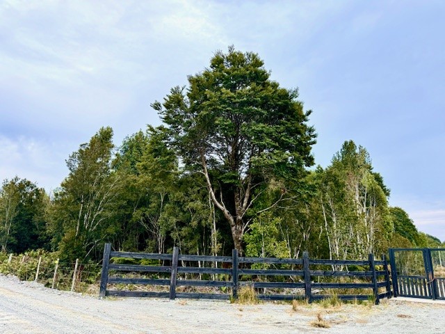 Venta Parcela Puerto Montt - Los Lagos