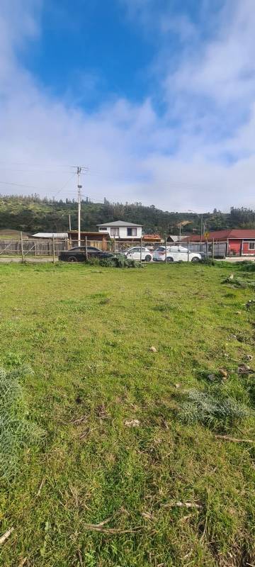 Venta Sitio Navidad - O'Higgins