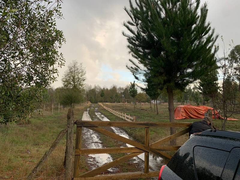 Venta Parcela Santa bárbara - Biobío