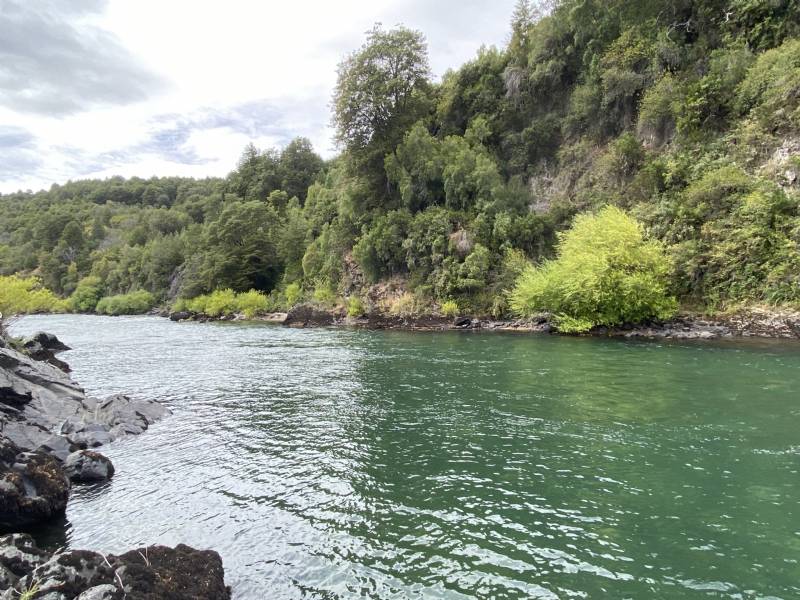 Venta Parcela Palena - Los Lagos