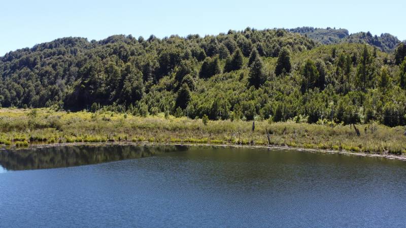 Venta Parcela Futaleufú - Los Lagos