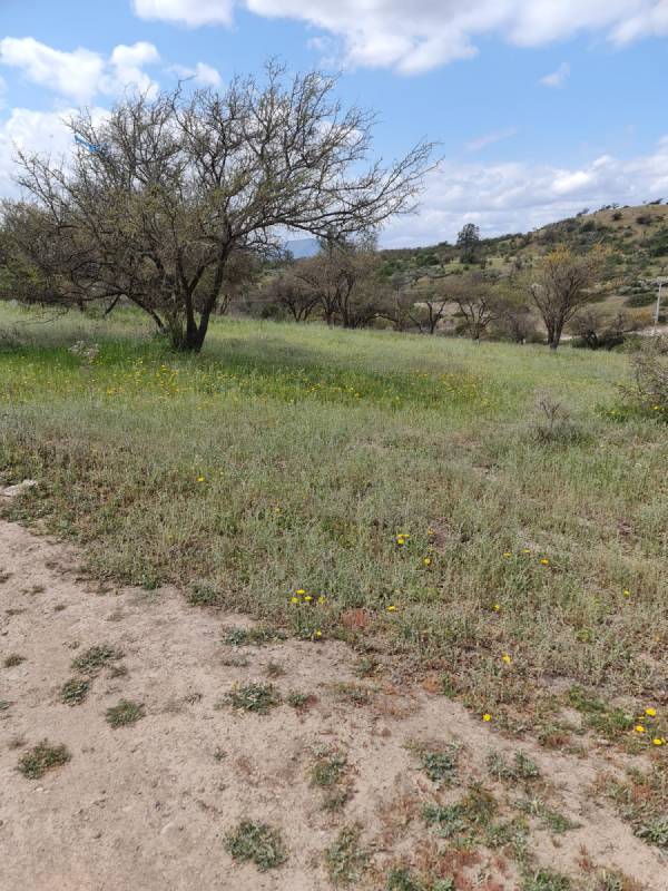 Venta Parcela Melipilla - Región Metropolitana