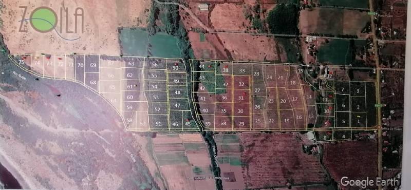 Venta Parcela Chillán - Ñuble