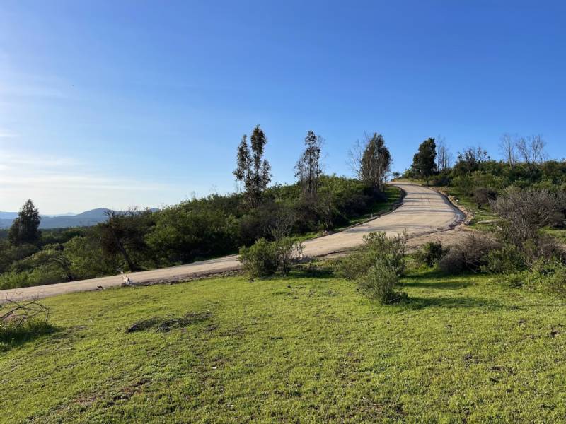 Venta Parcela Las cabras - O'Higgins