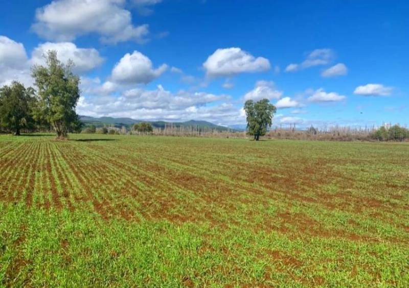 Venta Parcela Longaví - Maule