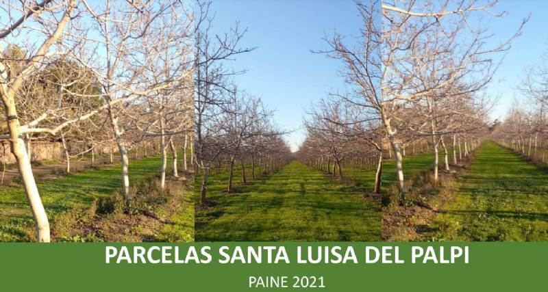 Venta Parcela Paine - Región Metropolitana