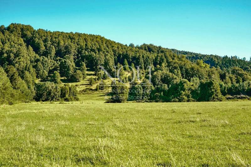 Venta Parcela Los Lagos - Los Ríos