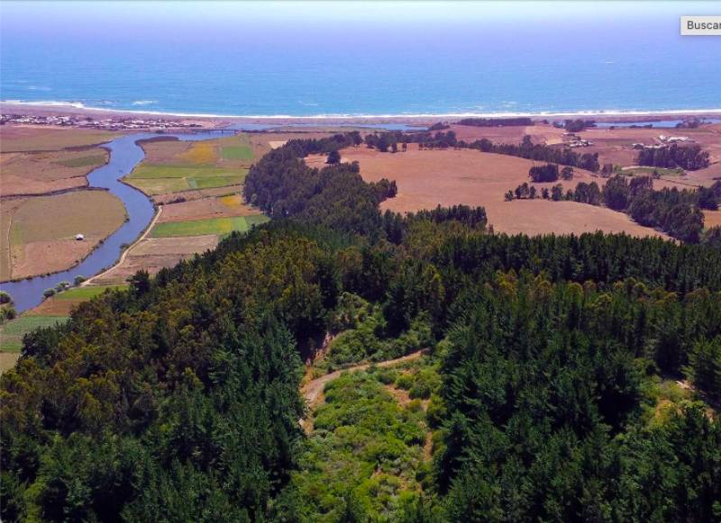 Venta Parcela Cobquecura - Ñuble