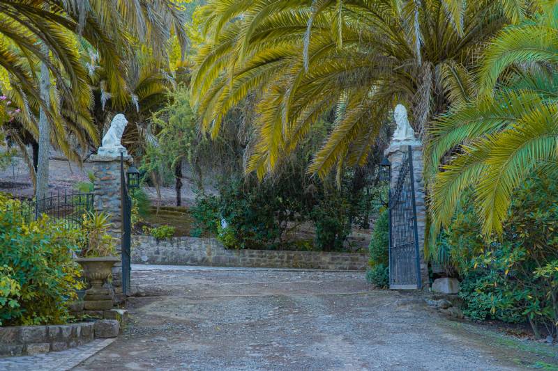 Venta Parcela Chimbarongo - O'Higgins