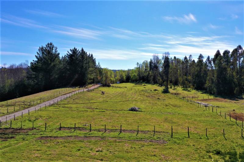 Venta Parcela Gorbea - La Araucanía