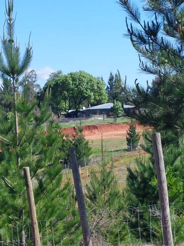 Venta Parcela Cauquenes - Maule