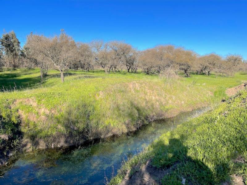 Venta Parcela Chillán - Ñuble