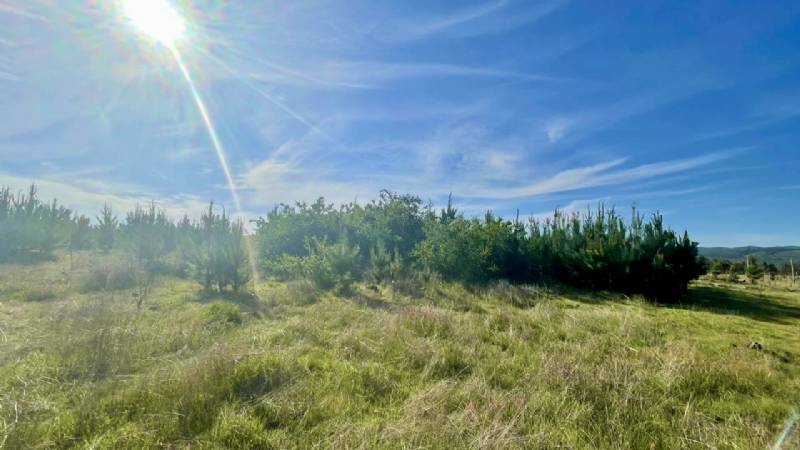 Venta Parcela Paredones - O'Higgins