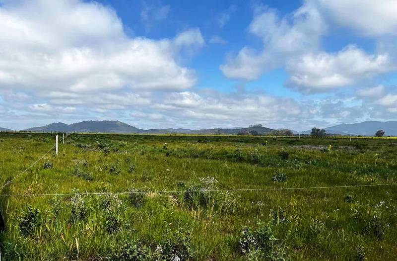 Venta Agrícola Lautaro - La Araucanía